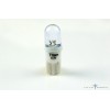 Clear Dome 6.3 volt LED